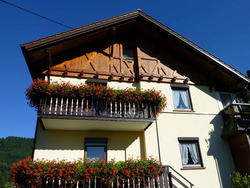 Haus Harter Daire Wolfach Dış mekan fotoğraf