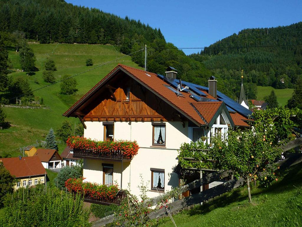 Haus Harter Daire Wolfach Dış mekan fotoğraf
