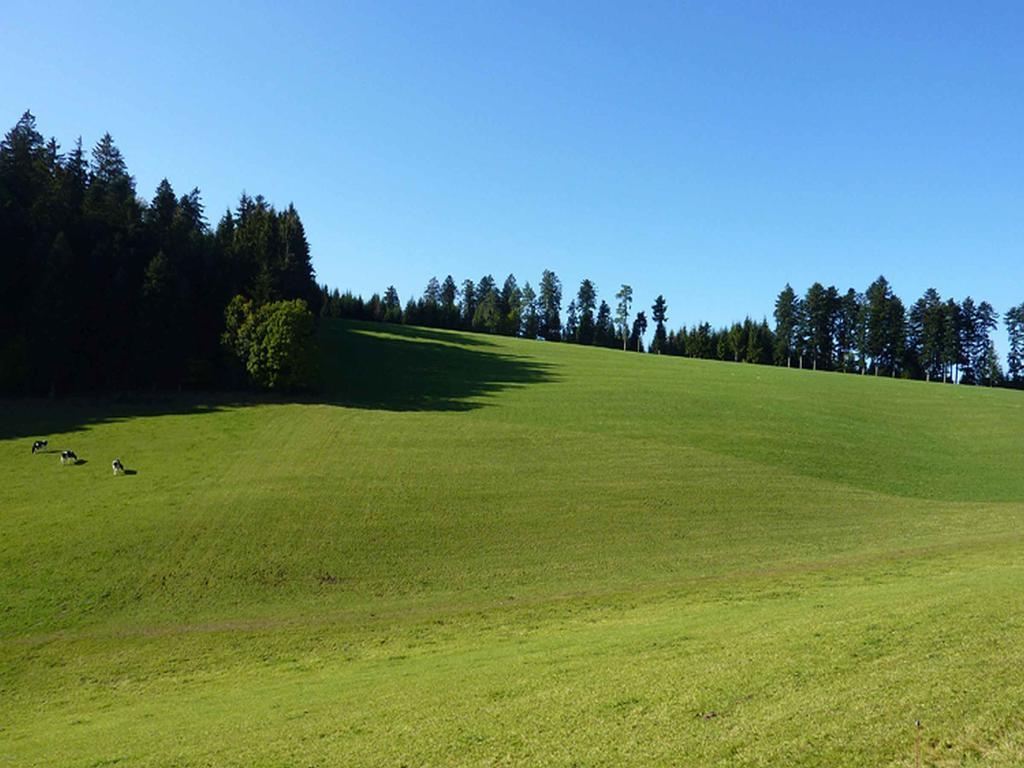 Haus Harter Daire Wolfach Dış mekan fotoğraf